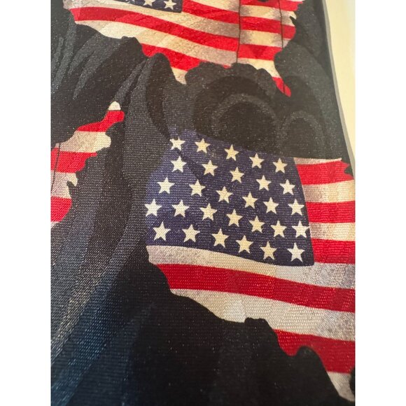 Steven Harris Men’s Patriotic Necktie – Stars & Stripes USA Map - Picture 6 of 7
